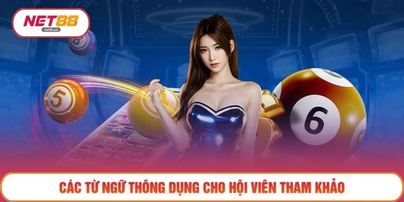 Lô Đề 3 Miền – Tổng Quan, Thuật Ngữ Và 3 Hình Thức Cơ Bản 3 Các từ ngữ thông dụng cho hội viên tham khảo