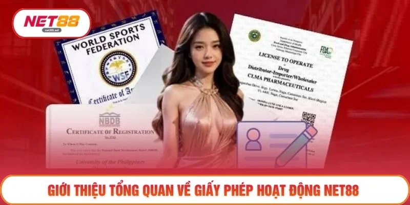 Giấy phép hoạt động 1 Giới thiệu tổng quan về giấy phép hoạt động NET88