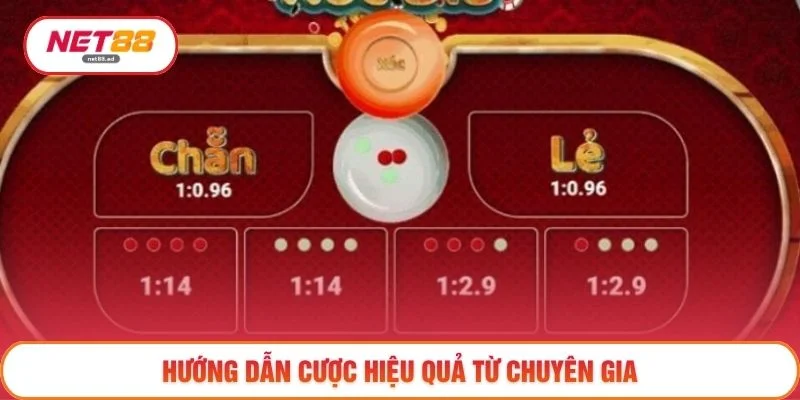 Xóc đĩa 3 Hướng dẫn cược hiệu quả từ chuyên gia