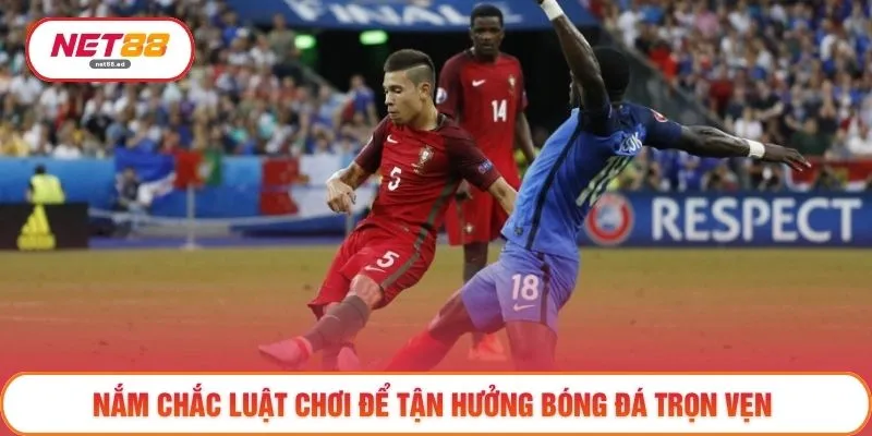Tìm Hiểu Giải Đấu Euro - 3 Thông Tin Quan Trọng Về Thể Lệ 3 Nắm chắc luật chơi để tận hưởng bóng đá trọn vẹn